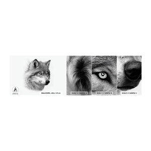 Photo Wallpaper Sample Standard Eco - Alpha - Without a Doubt - Wolf, Animal, Scandinavian - 100x30 cm