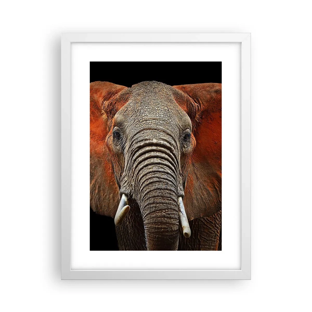 Poster in white frmae - I am Wild, and You? - 30x40 cm