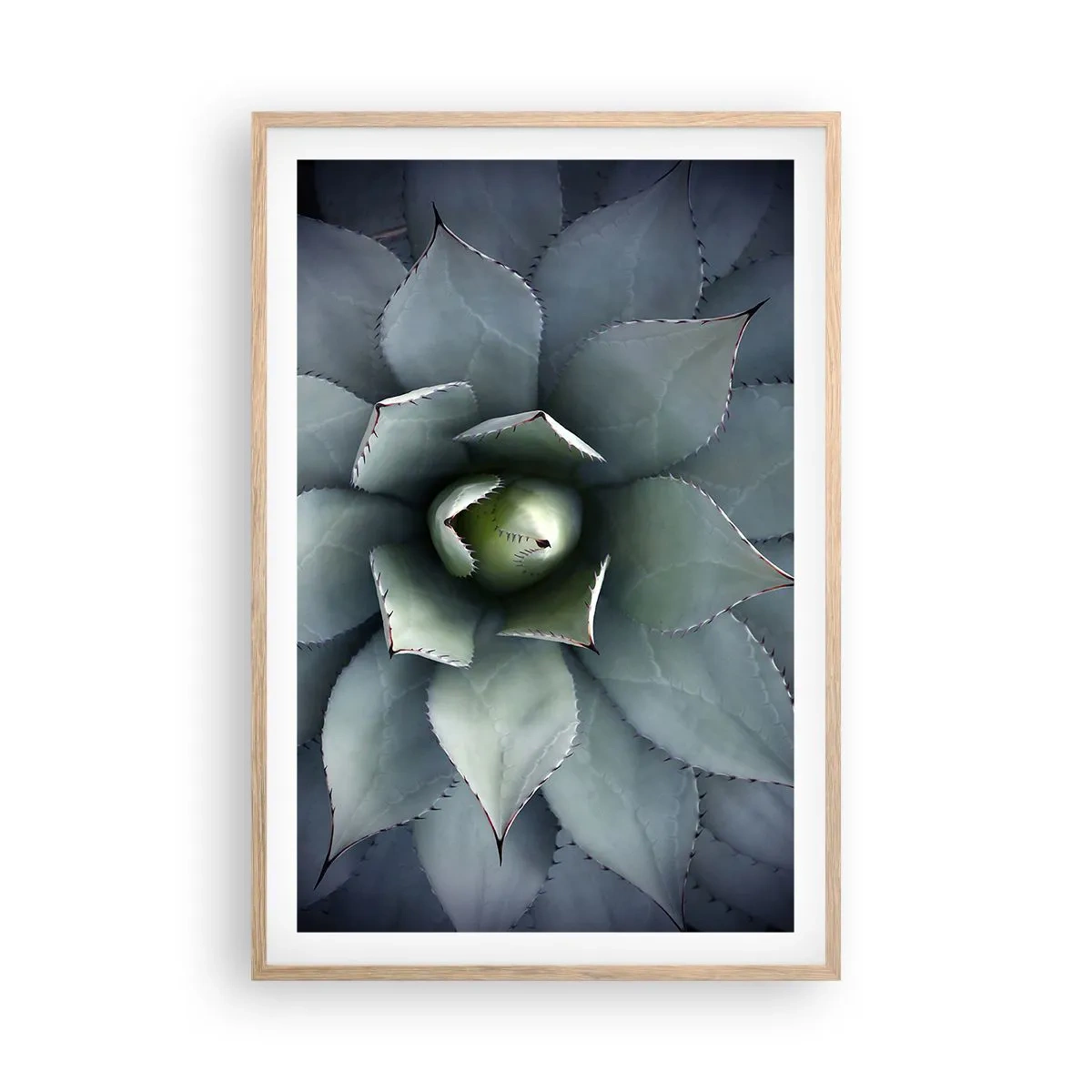 Poster in light oak frame - Attracts and Warns - 61x91 cm