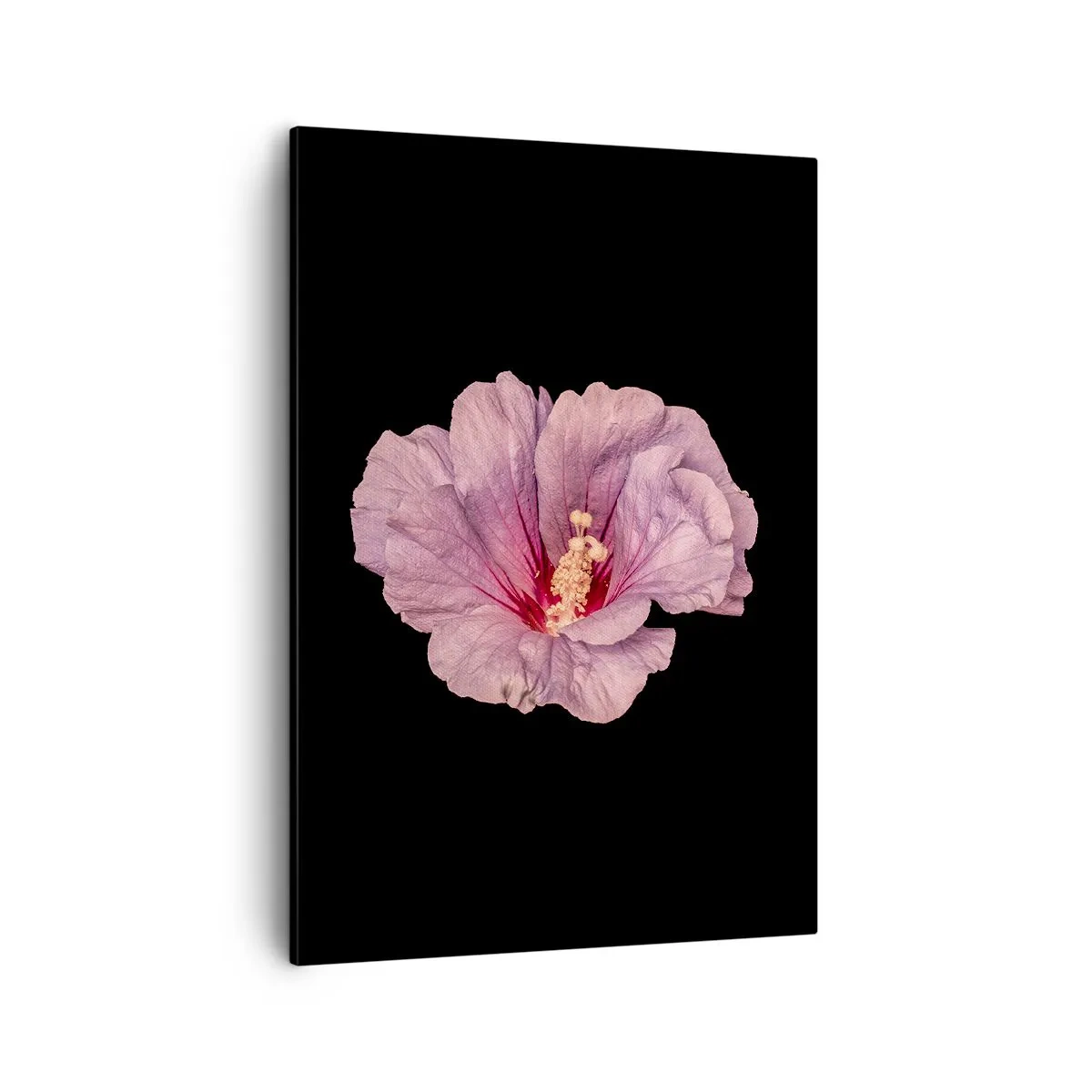 Canvas picture - Straight from the Heart - 50x70 cm