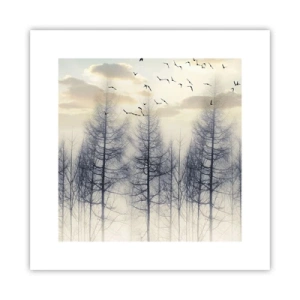 Poster - Spirits of the Forest - 30x30 cm