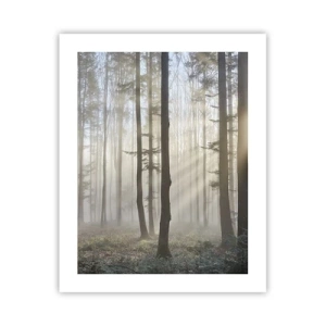 Poster - Fog Has Woken up Too - 40x50 cm