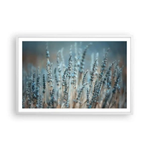 Poster in white frmae - Fragrant Grass - 91x61 cm