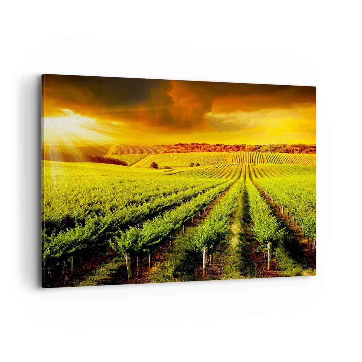 Canvas picture - Under Australian Sun - 100x70 cm
