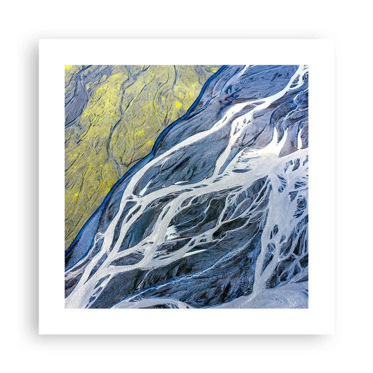 Poster - Cave Paintings of Nature - 40x40 cm
