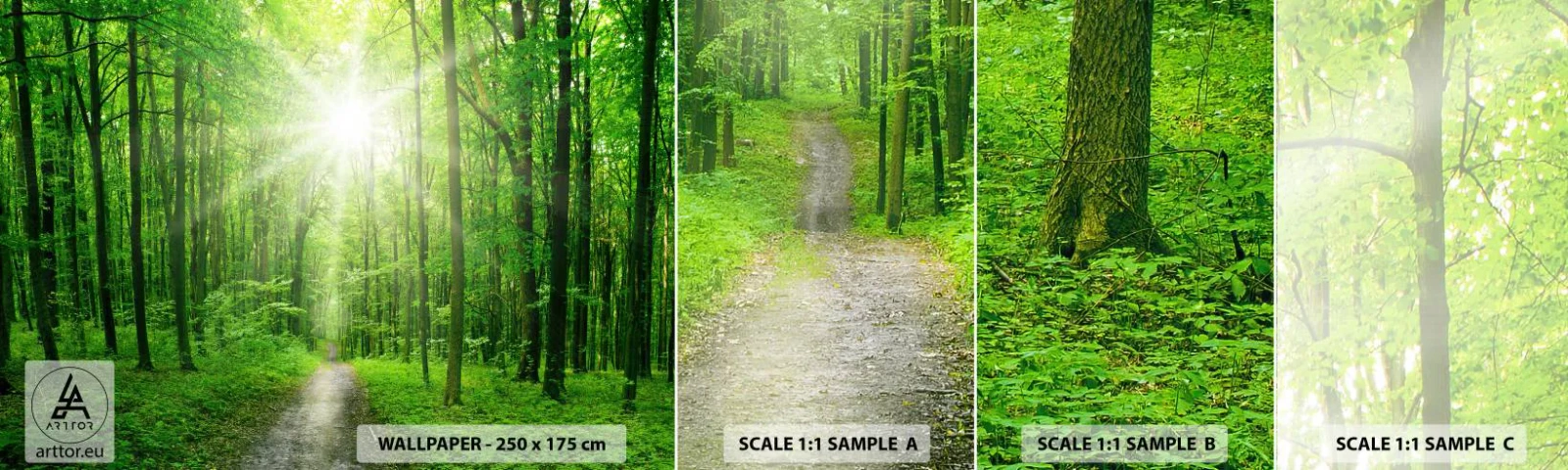 Photo Wallpaper Sample Standard Eco - Green Cathedral - Landscape, Forest, Rays of the sun - 100x30 cm