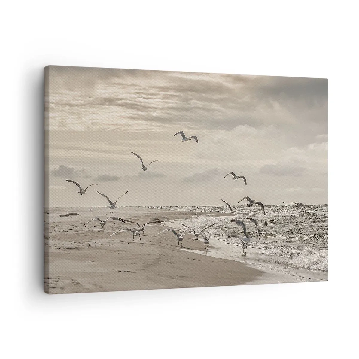Canvas picture - A seagull in flight over a seaside landscape - 70x50cm - Sound of the Sea, Singing of the Birds - Modern wall decoration for the living room and bedroom ARTTOR
