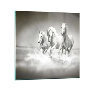 Glass picture - White Madness - 40x40 cm