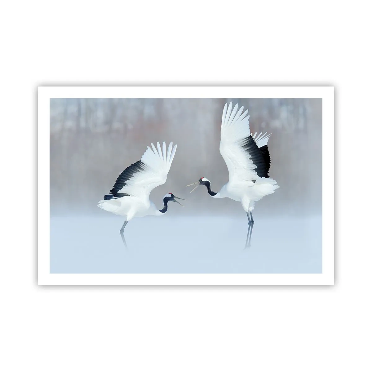 Poster - Dance in the Fog - 91x61 cm