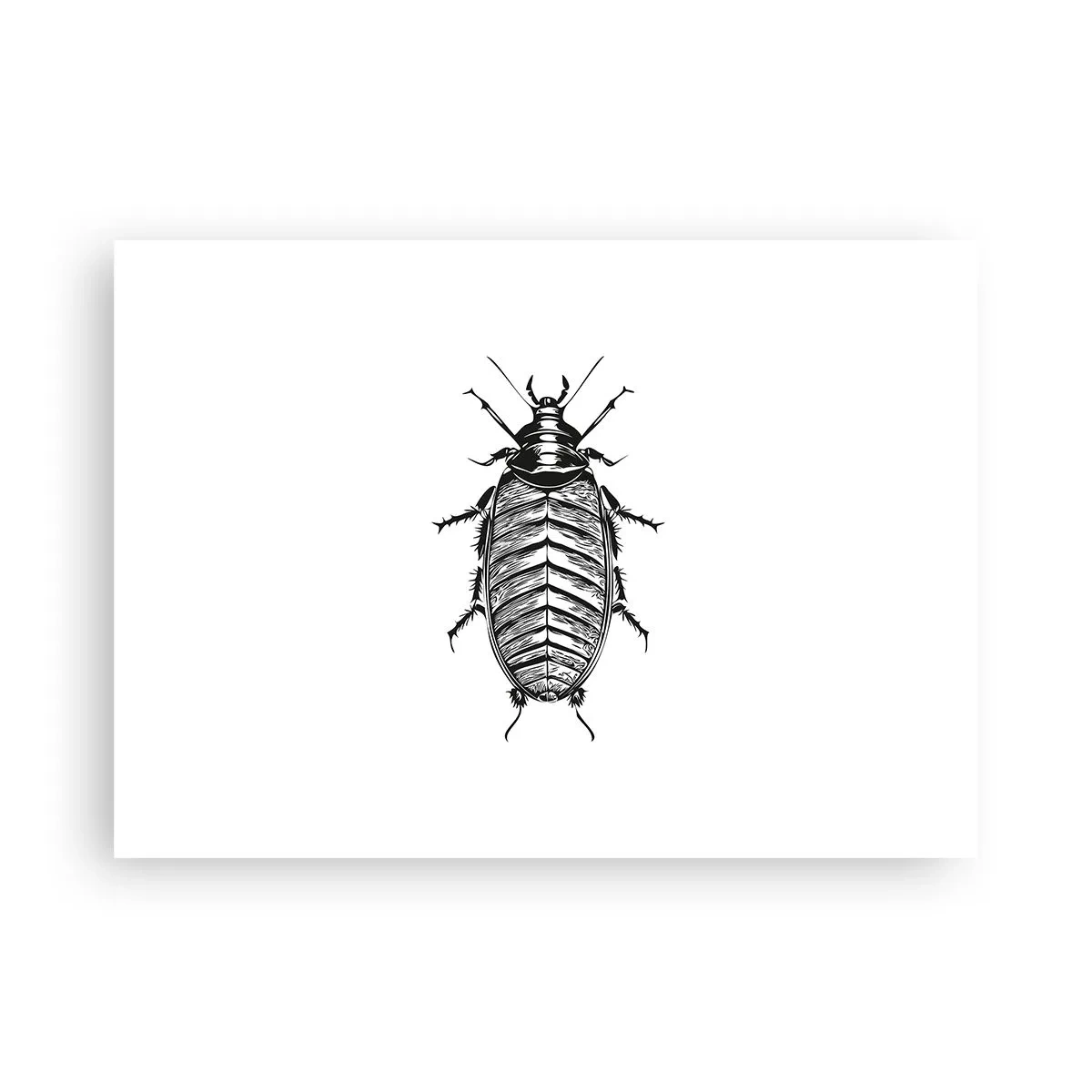 Poster - What a Specimen - 70x50 cm