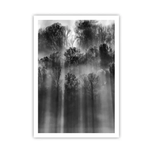 Poster - In the Streams of Light - 70x100 cm