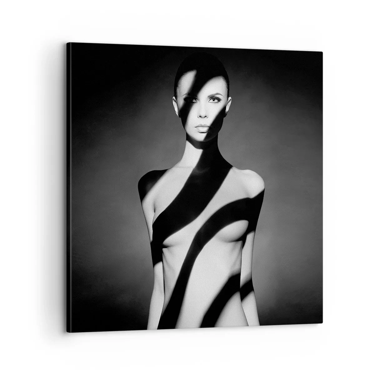 Canvas picture - In the Light and in the Shadow - 60x60 cm