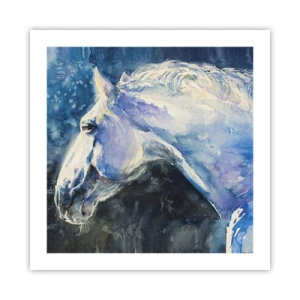 Poster - Portrait in Blue Light - 50x50 cm
