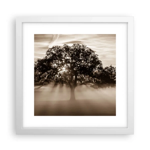 Poster in white frmae - Tree of Good Knowledge - 30x30 cm