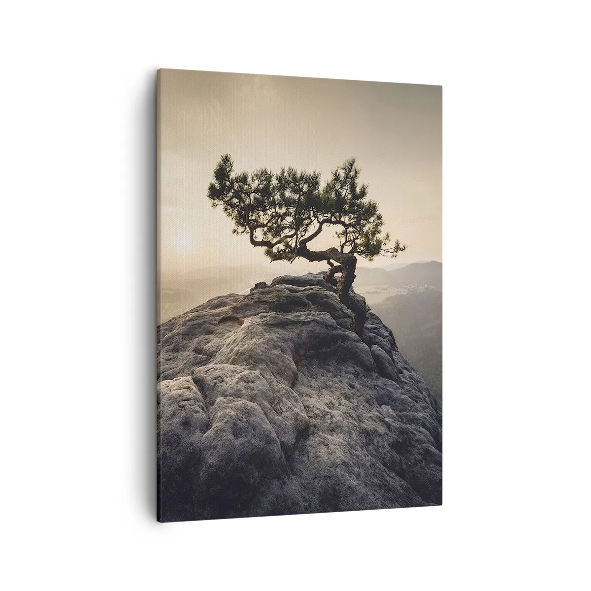 Canvas picture - Life Always Wins - 50x70 cm