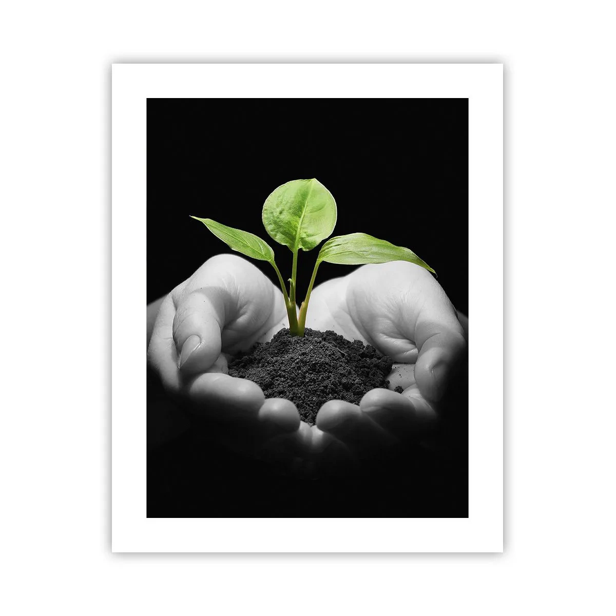 Poster - I Love Nature, I Protect It - 40x50 cm