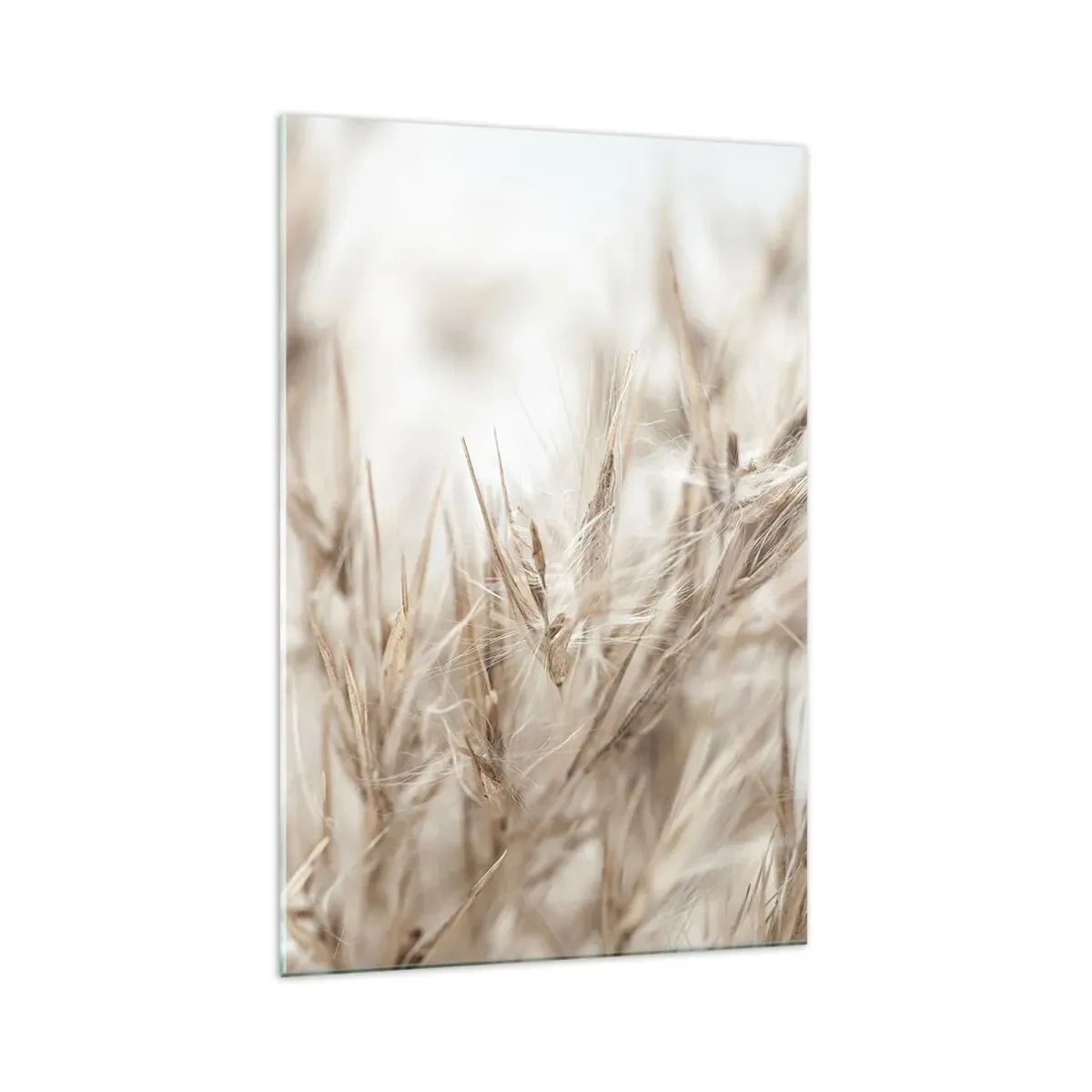 Glass picture - Meadow and Wind - 70x100 cm