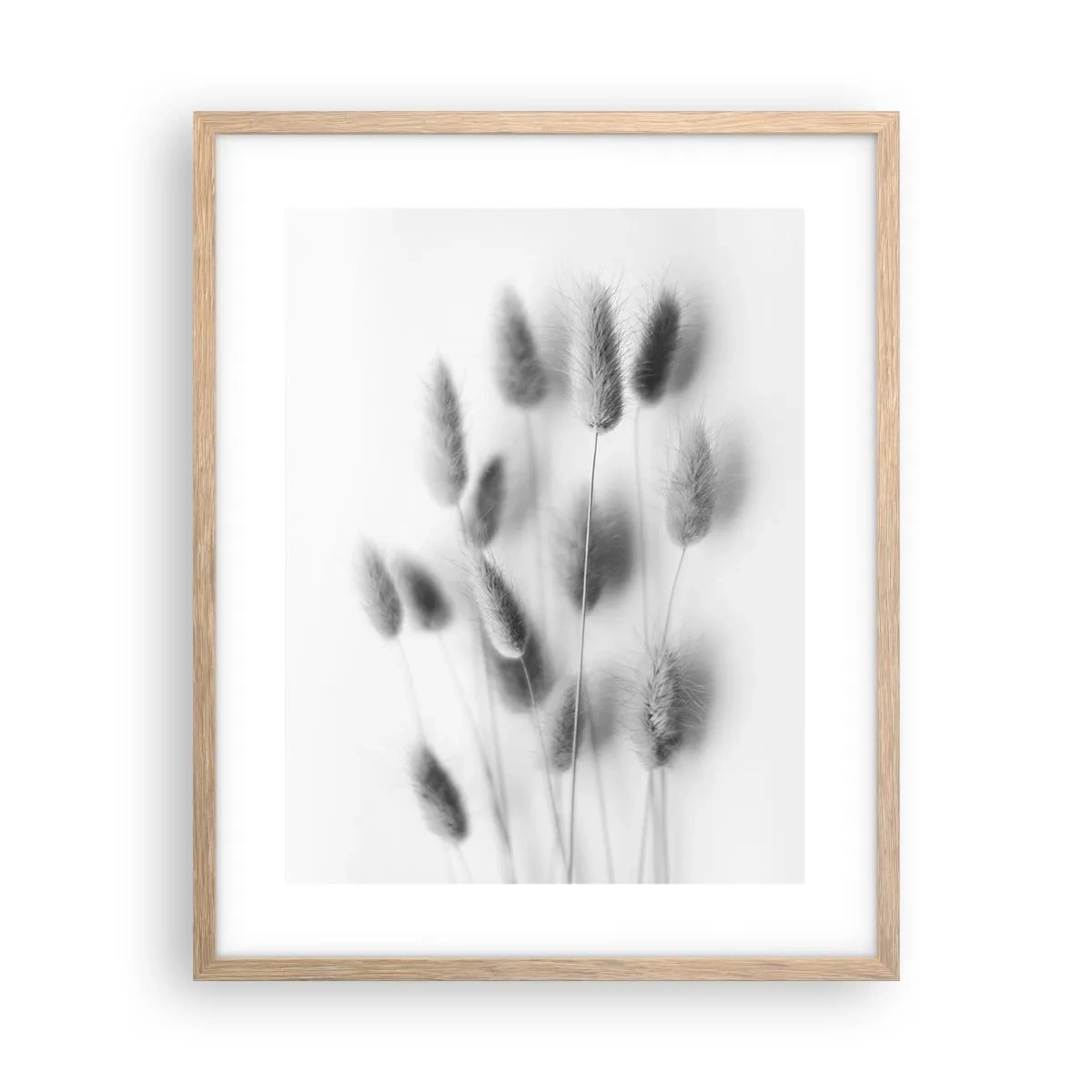 Poster in light oak frame - Her Softness Grass - 40x50 cm