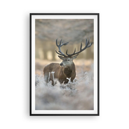Poster in black frame - Chilly Morning - 61x91 cm
