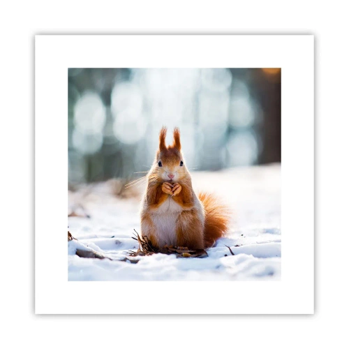 Poster - What Are You Looking at? - 30x30 cm