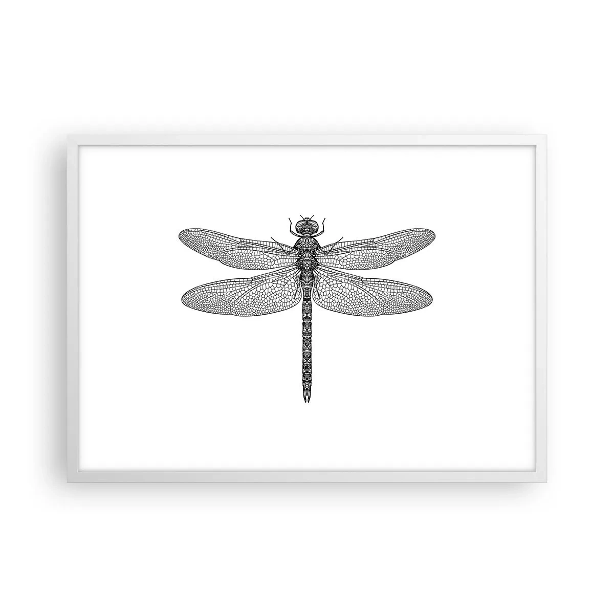 Poster in white frmae - Precision of Nature - 70x50 cm