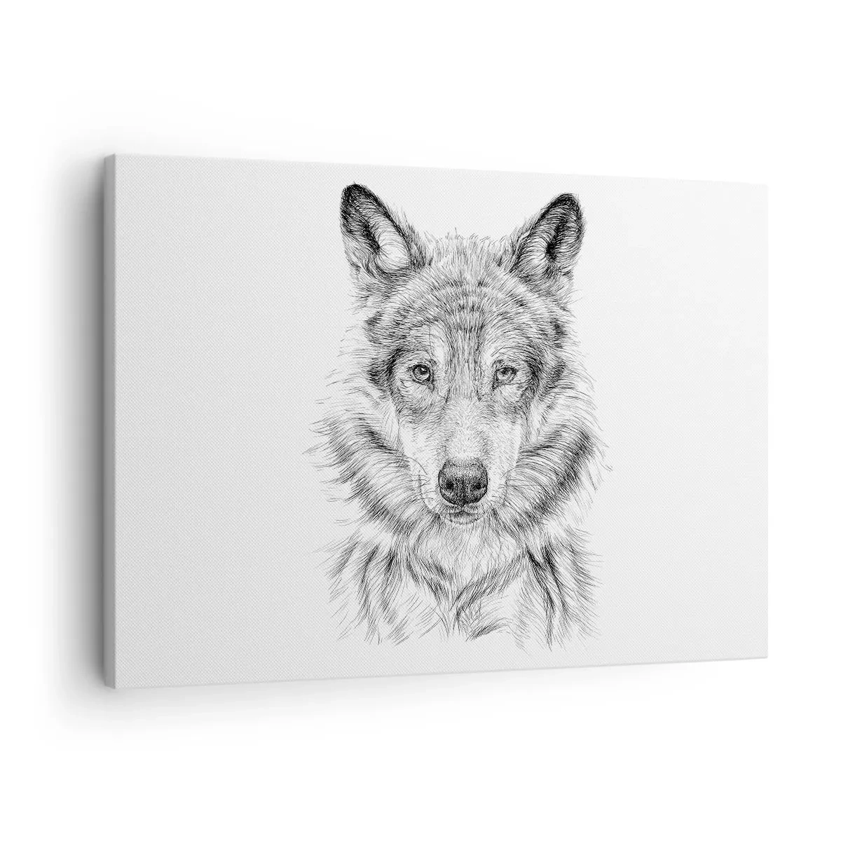 Canvas picture - Sketch of a wolf head in a monochrome style on a white background - 70x50cm - Born Leader - Modern wall decoration for the living room and bedroom ARTTOR