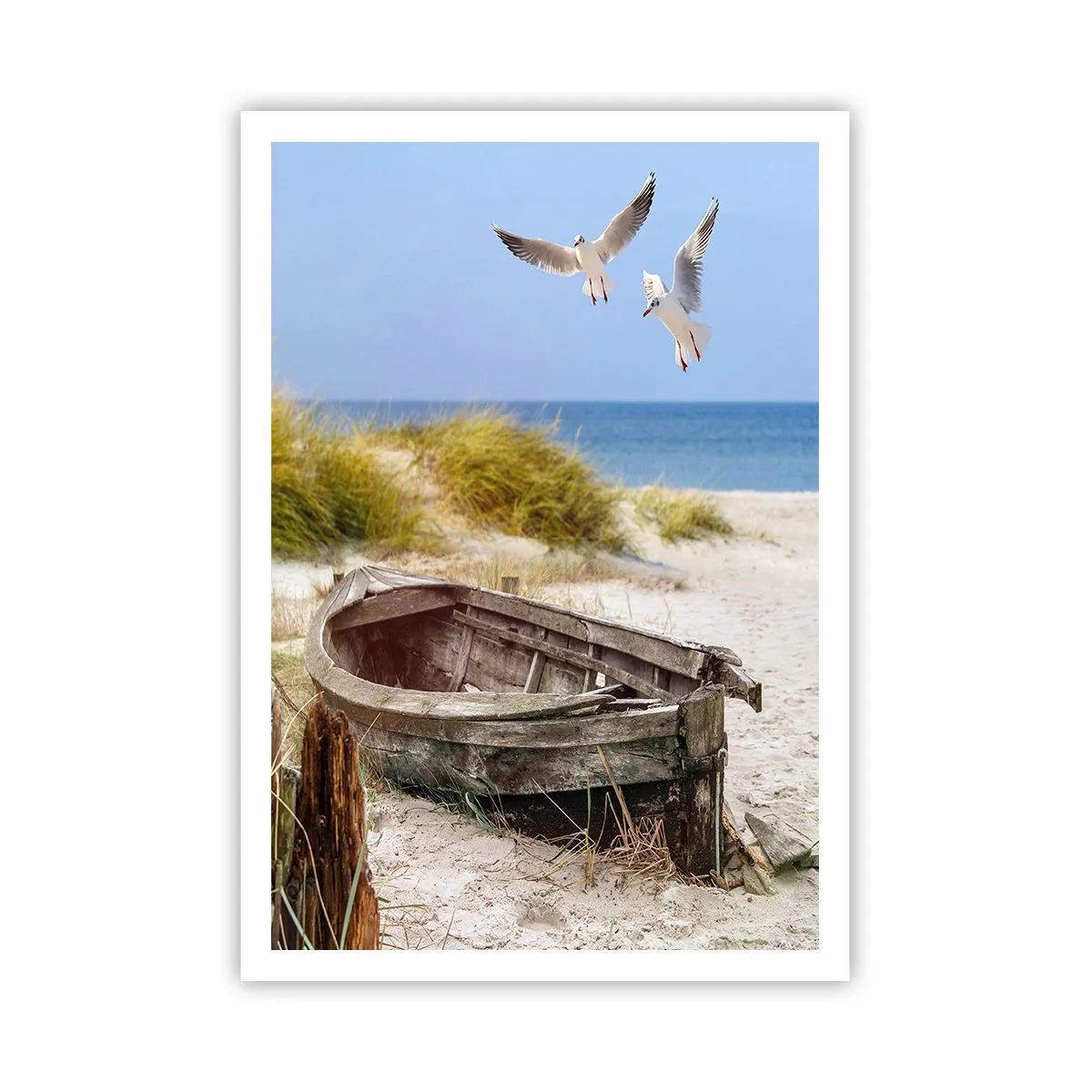 Poster - Bathed in the Sun - 70x100 cm