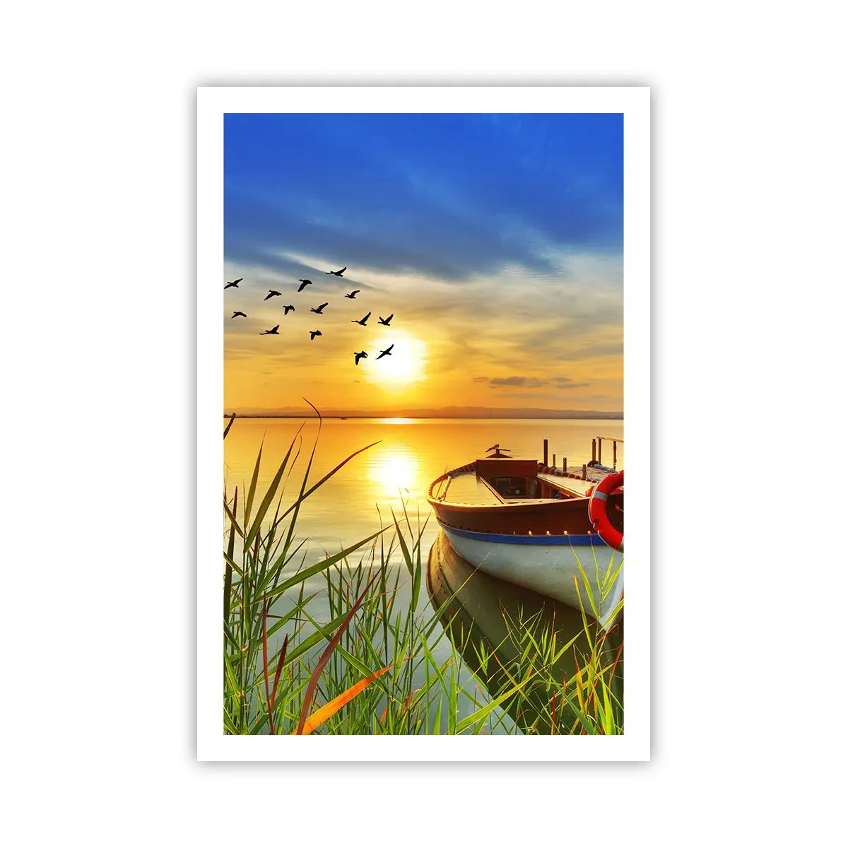 Poster - Cormorants Are Flying Away - 61x91 cm