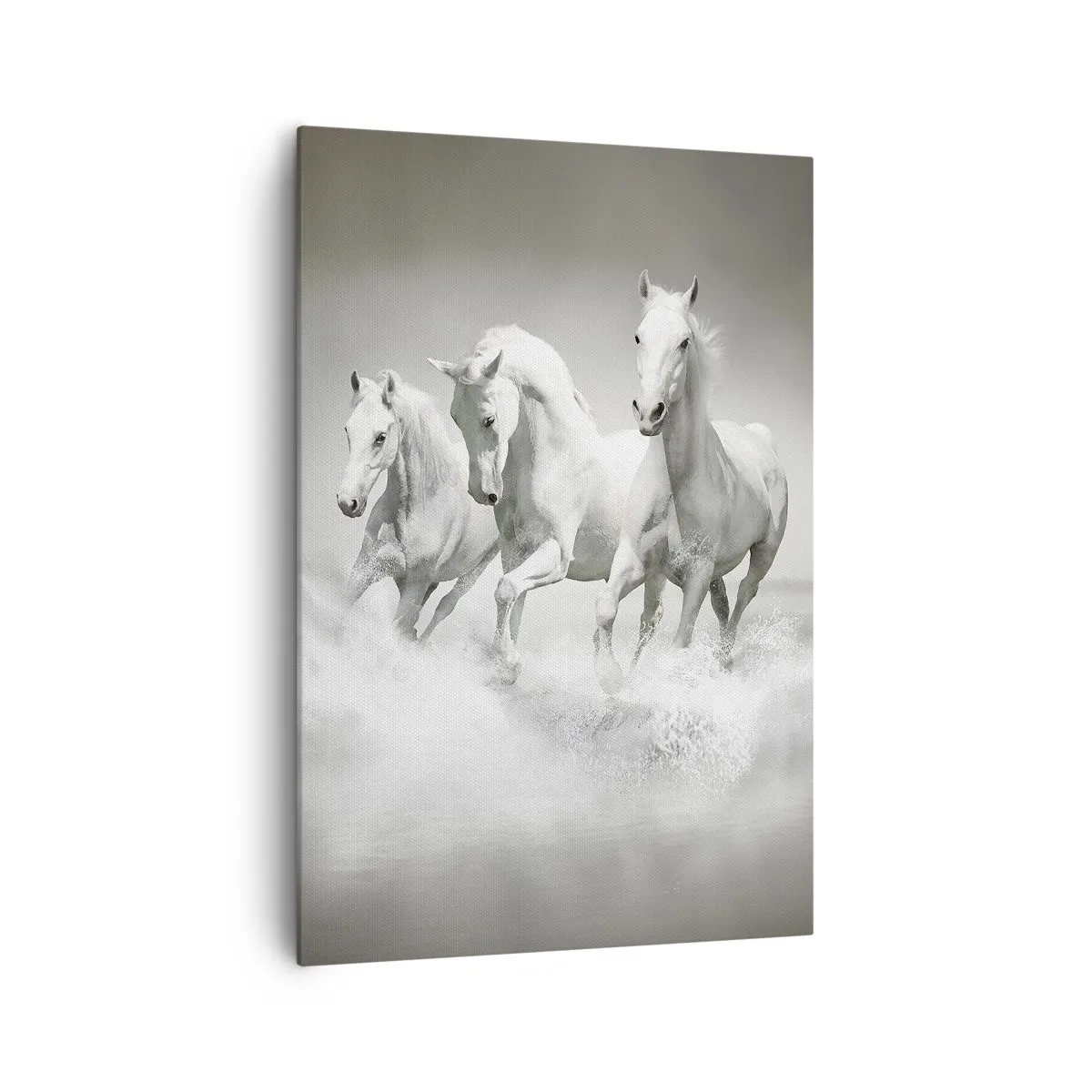 Canvas picture - White Madness - 70x100 cm