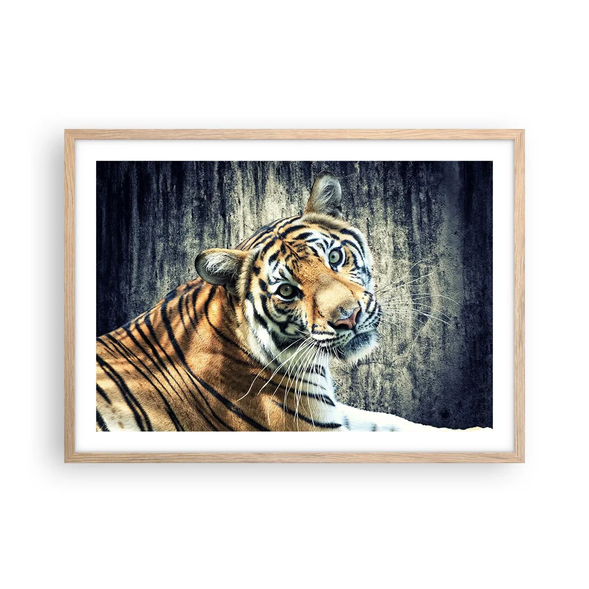 Poster in light oak frame - Portrait in Rays of Light - 70x50 cm