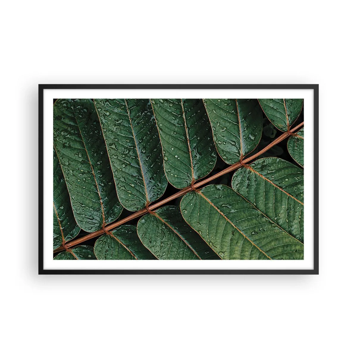 Poster in black frame - In Green Rhythm - 91x61 cm