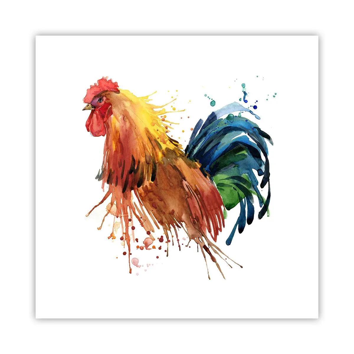 Poster - King Rooster - 60x60 cm