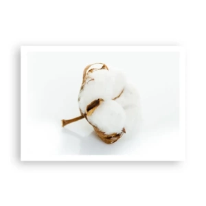 Poster - Soft By Nature - 100x70 cm