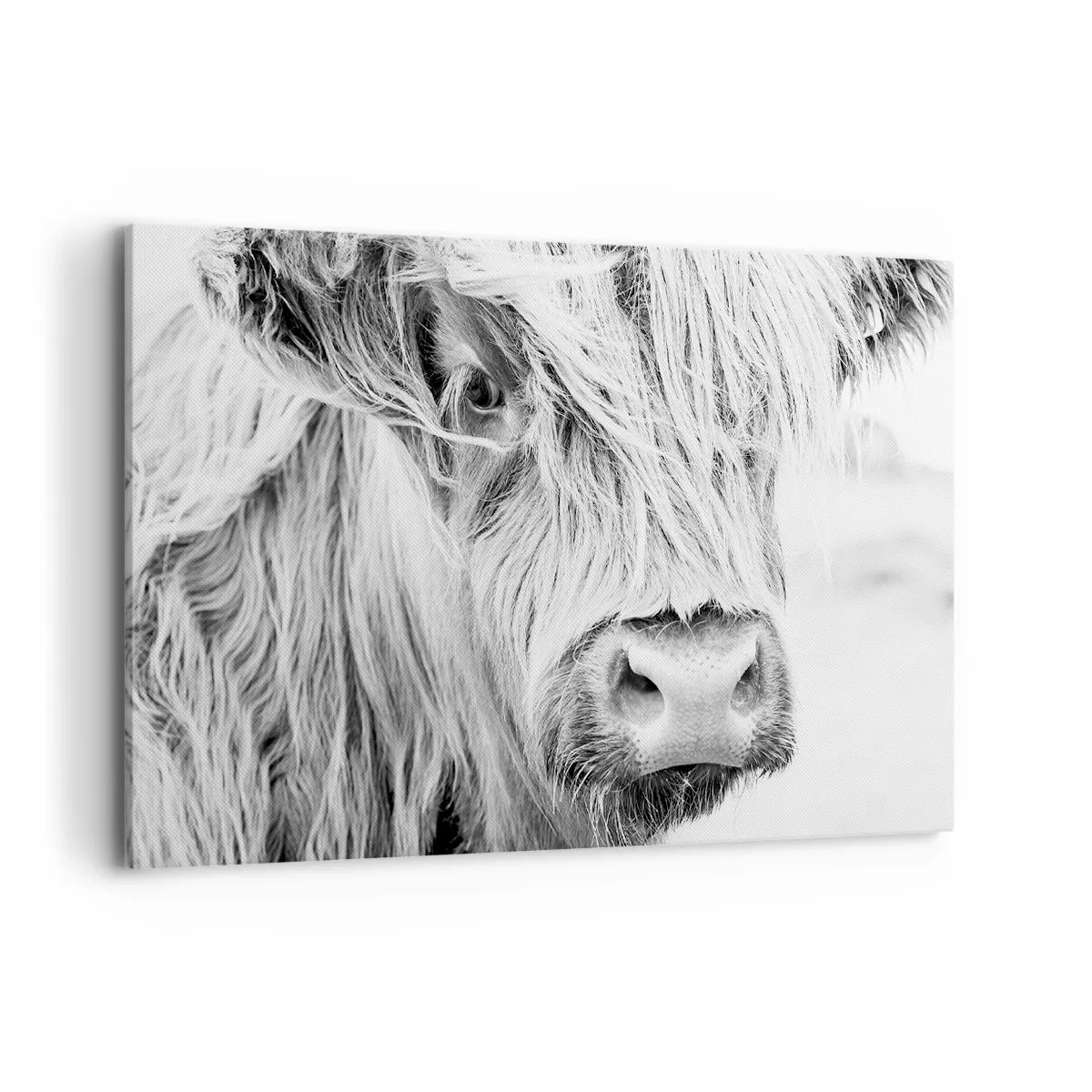 Canvas picture - Scottish Wilderness - 120x80 cm