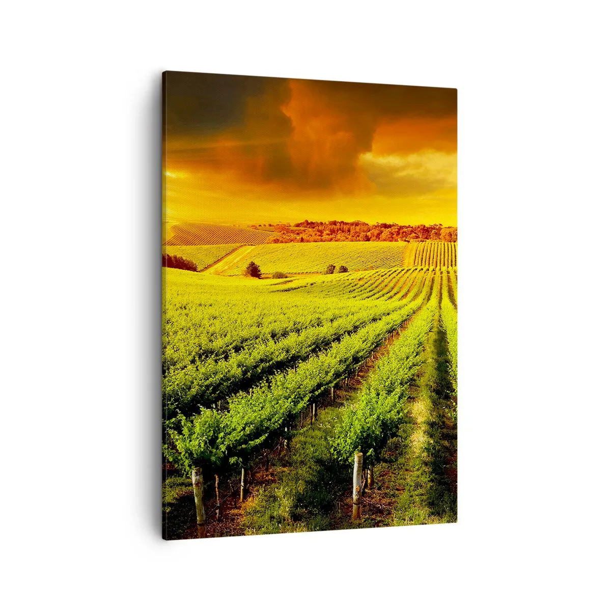 Canvas picture - Under Australian Sun - 50x70 cm