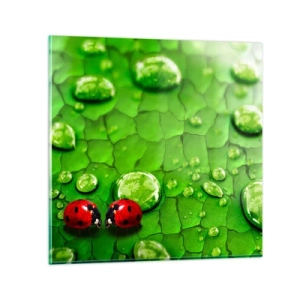 Glass picture - Encounter in Green - 60x60 cm