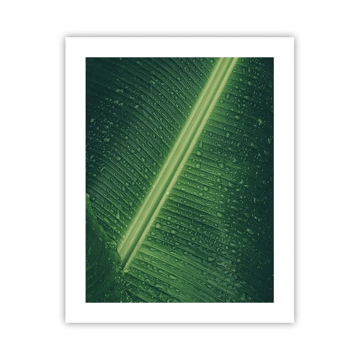 Poster - Structure of Green - 40x50 cm