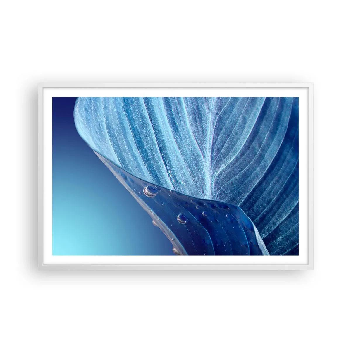Poster in white frmae - Hidden Drops of Blue - 91x61 cm