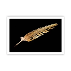 Poster - High-Class Feather - 91x61 cm