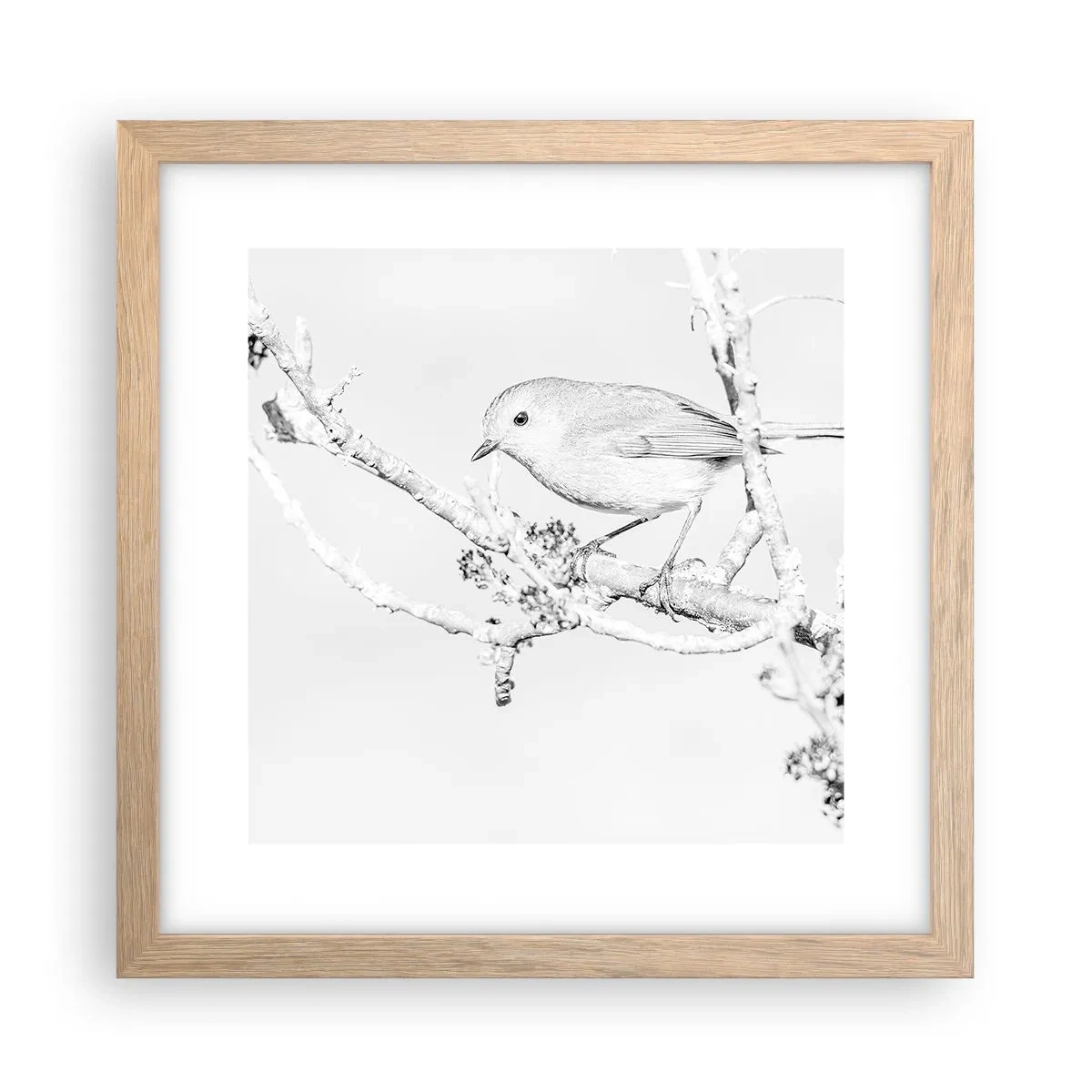 Poster in light oak frame - Winter Morning - 30x30 cm