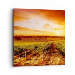 Canvas picture - Delicatly Fruity with a Note of the Sun - 40x40 cm