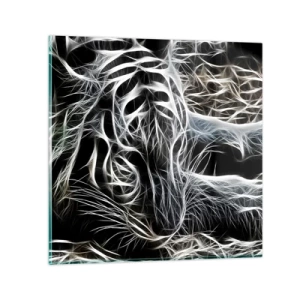 Glass picture - Study in Lightness of Cats - 60x60 cm