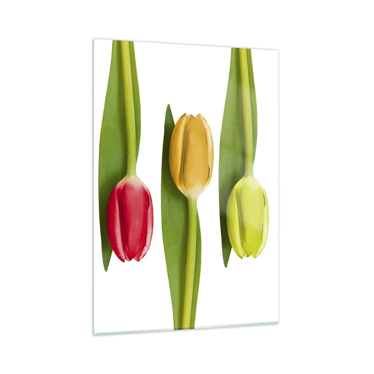 Glass picture - Rainbow Composition - 50x70 cm