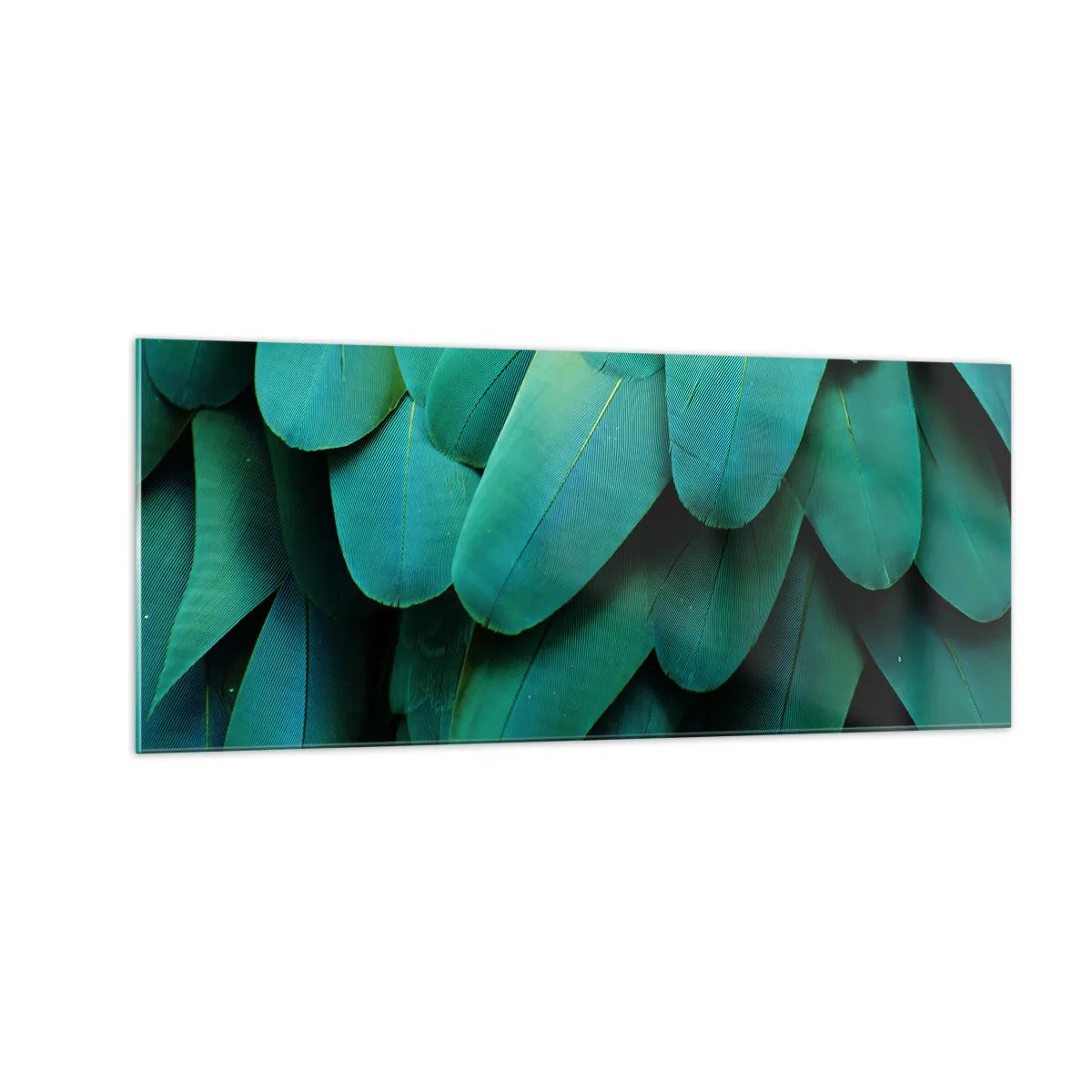 Glass picture - Precision of Parrot Nature - 100x40 cm