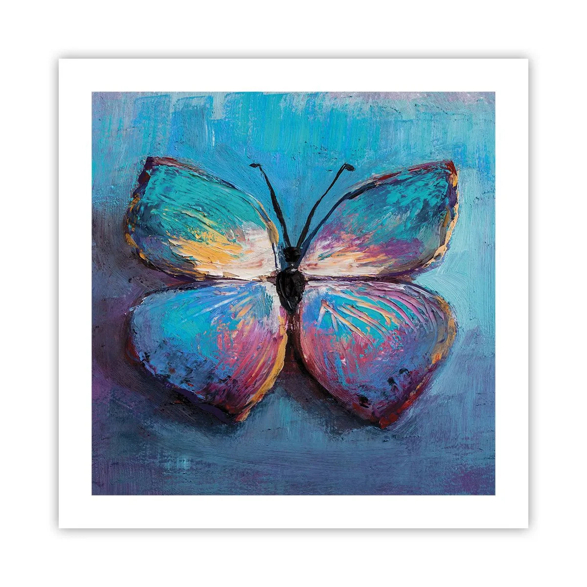 Poster - In Full Splendour - 50x50 cm