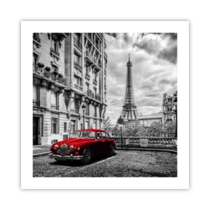 Poster - Predator in the City - 50x50 cm