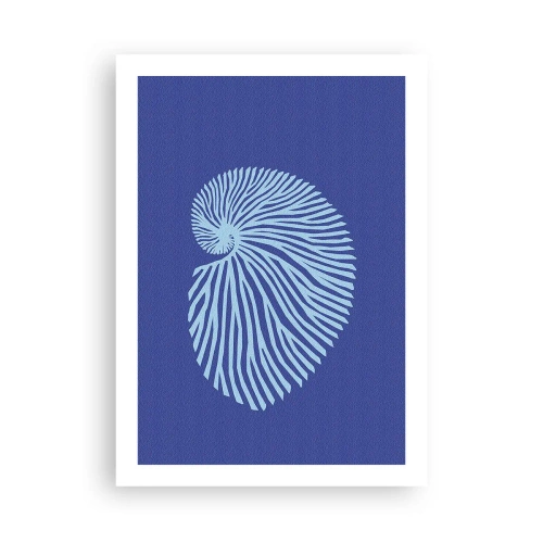 Poster - Birth of a Shell - 50x70 cm