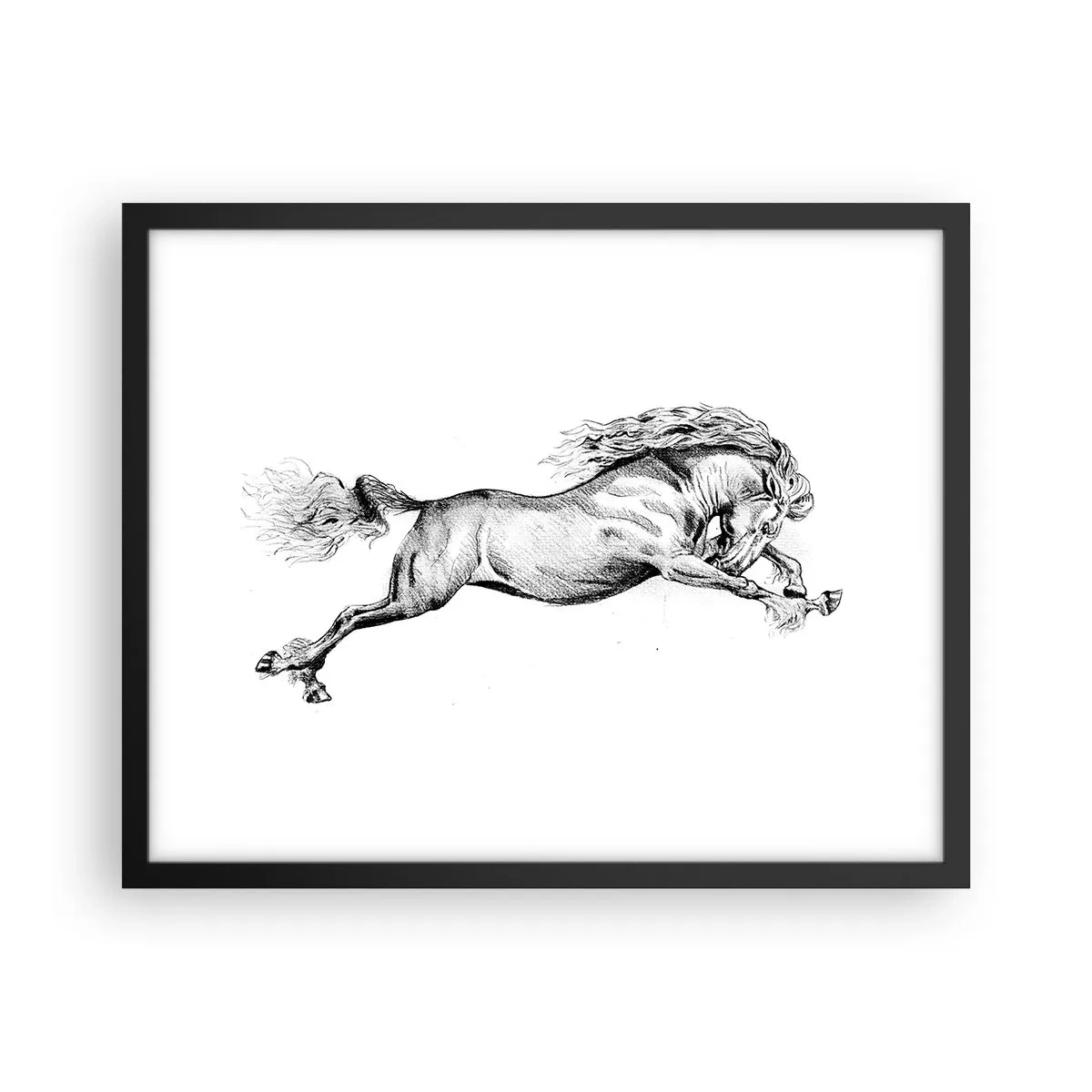 Poster in black frame - Stopped at a Gallop - 50x40 cm