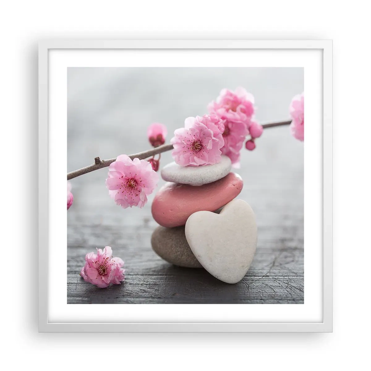 Poster in white frmae - Bliss with Cherry Blossom - 50x50 cm