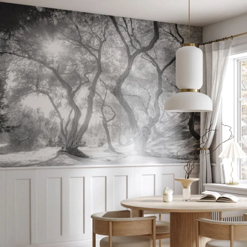 Photo Wallpaper Premium Canvas - In an Olive Grove - Forest, Winter, Trees - 400x280 cm